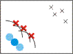 /halfdan/eva2/raw/commit/d80ac1514230dec6e7d975a9943b874b575f1f3f/resources/images/MOCCO/MOCCO_REFP.gif
